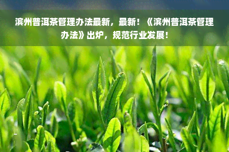 滨州普洱茶管理办法最新，最新！《滨州普洱茶管理办法》出炉，规范行业发展！