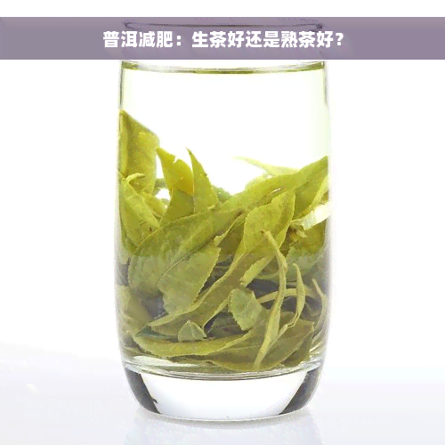 普洱减肥：生茶好还是熟茶好？