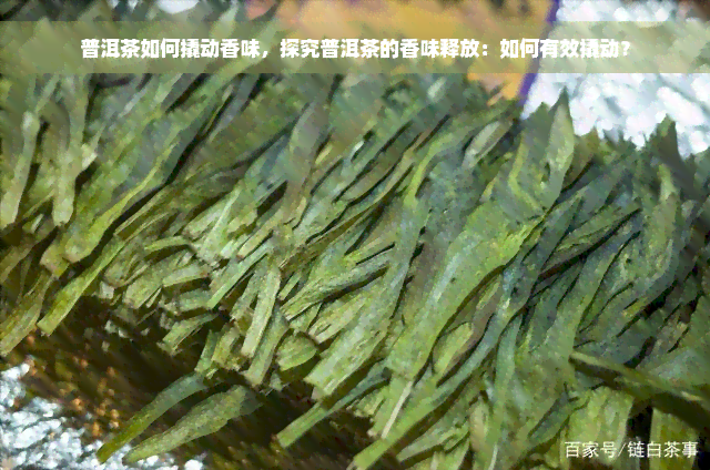 普洱茶如何撬动香味，探究普洱茶的香味释放：如何有效撬动？