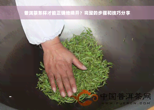 普洱茶怎样才能正确地撬开？完整的步骤和技巧分享