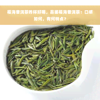 福海普洱茶咋样好喝，品鉴福海普洱茶：口感如何，有何特点？