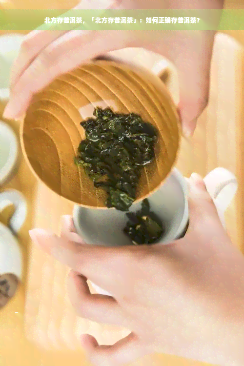 北方存普洱茶，「北方存普洱茶」：如何正确存普洱茶？