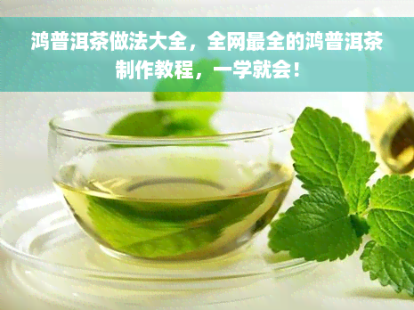 鸿普洱茶做法大全，全网最全的鸿普洱茶制作教程，一学就会！