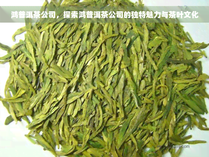 鸿普洱茶公司，探索鸿普洱茶公司的独特魅力与茶叶文化