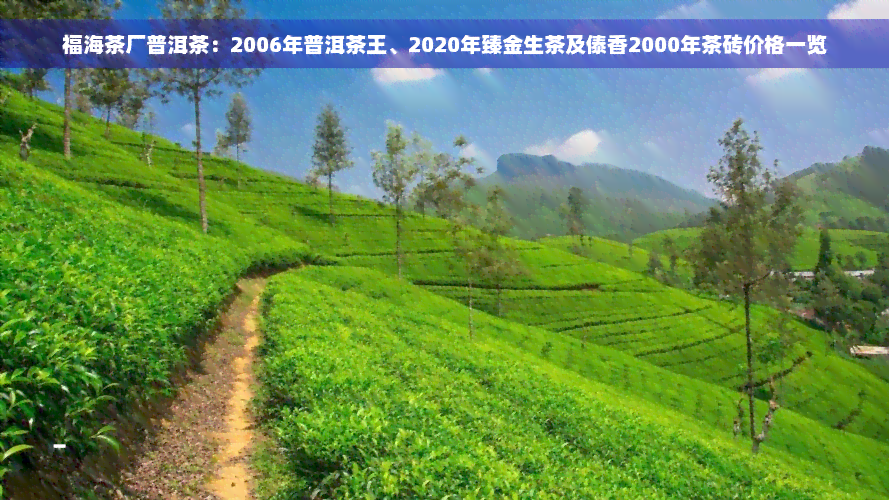 福海茶厂普洱茶：2006年普洱茶王、2020年臻金生茶及傣香2000年茶砖价格一览