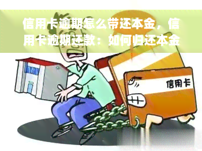 信用卡逾期怎么带还本金，信用卡逾期还款：如何归还本金？