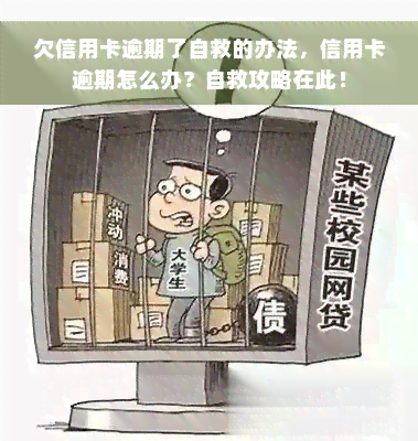 欠信用卡逾期了自救的办法，信用卡逾期怎么办？自救攻略在此！