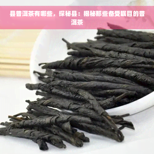 县普洱茶有哪些，探秘县：揭秘那些备受瞩目的普洱茶