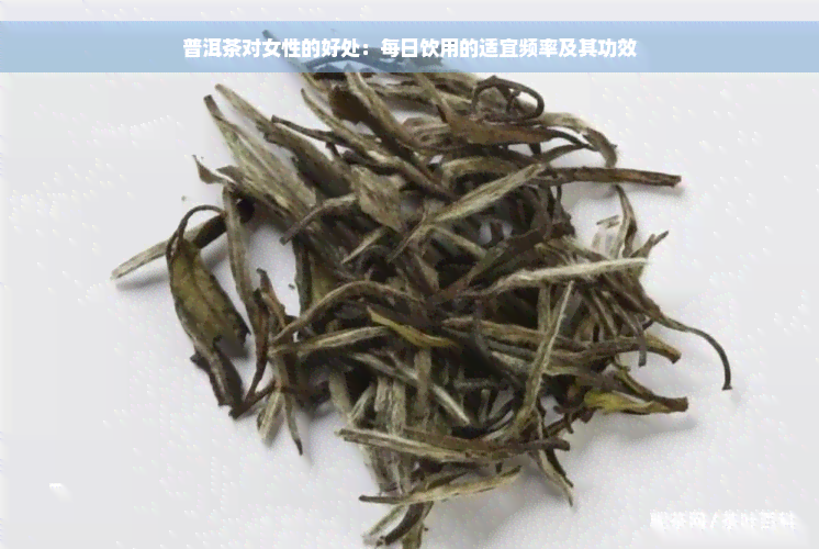 普洱茶对女性的好处：每日饮用的适宜频率及其功效