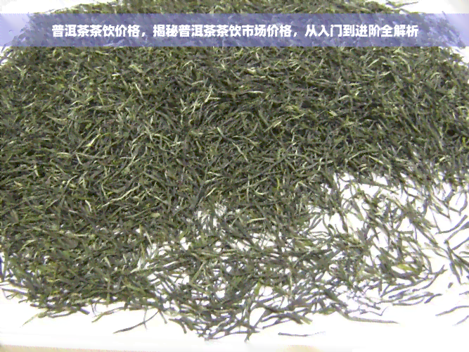 普洱茶茶饮价格，揭秘普洱茶茶饮市场价格，从入门到进阶全解析