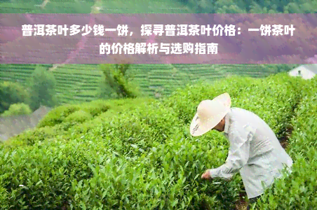 普洱茶叶多少钱一饼，探寻普洱茶叶价格：一饼茶叶的价格解析与选购指南