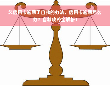 欠信用卡逾期了自救的办法，信用卡逾期怎么办？自救攻略全解析！