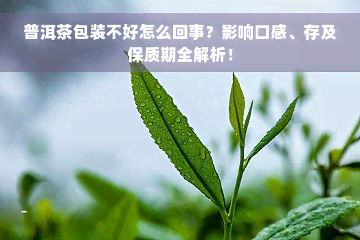 普洱茶包装不好怎么回事？影响口感、存及保质期全解析！