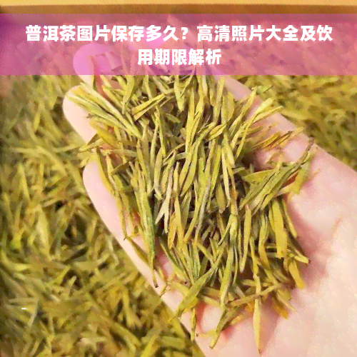 普洱茶图片保存多久？高清照片大全及饮用期限解析