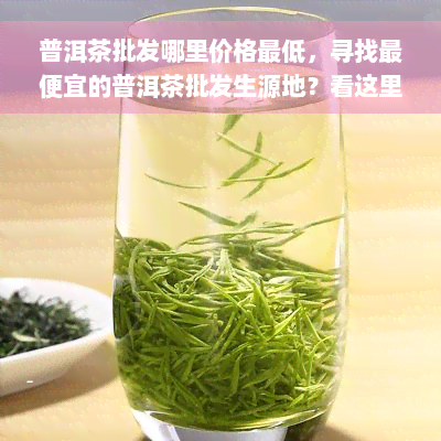 普洱茶批发哪里价格更低，寻找更便宜的普洱茶批发生源地？看这里！