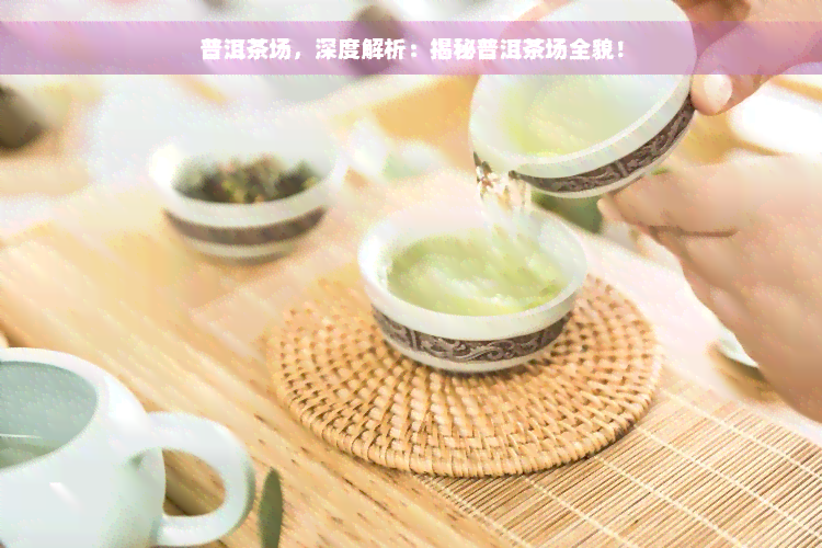 普洱茶场，深度解析：揭秘普洱茶场全貌！