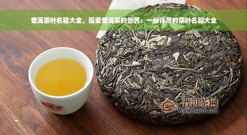 普洱茶叶名称大全，探索普洱茶的世界：一份详尽的茶叶名称大全