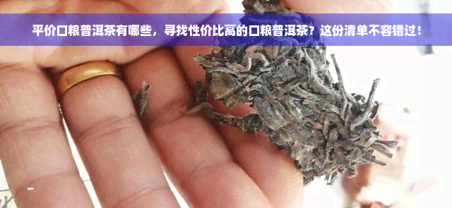 平价口粮普洱茶有哪些，寻找性价比高的口粮普洱茶？这份清单不容错过！