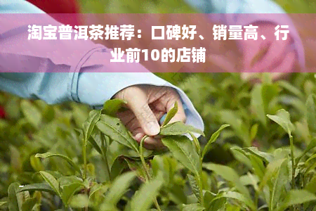 淘宝普洱茶推荐：口碑好、销量高、行业前10的店铺