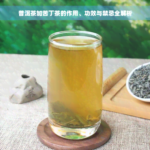 普洱茶加苦丁茶的作用、功效与禁忌全解析