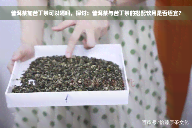 普洱茶加苦丁茶可以喝吗，探讨：普洱茶与苦丁茶的搭配饮用是否适宜？