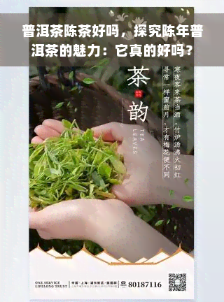 普洱茶陈茶好吗，探究陈年普洱茶的魅力：它真的好吗？