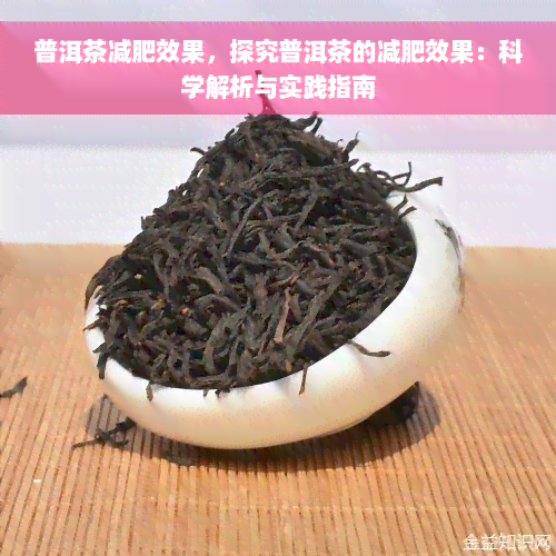 普洱茶减肥效果，探究普洱茶的减肥效果：科学解析与实践指南