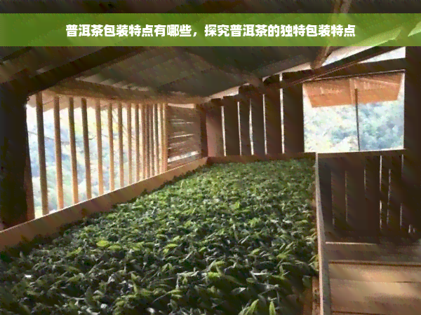 普洱茶包装特点有哪些，探究普洱茶的独特包装特点