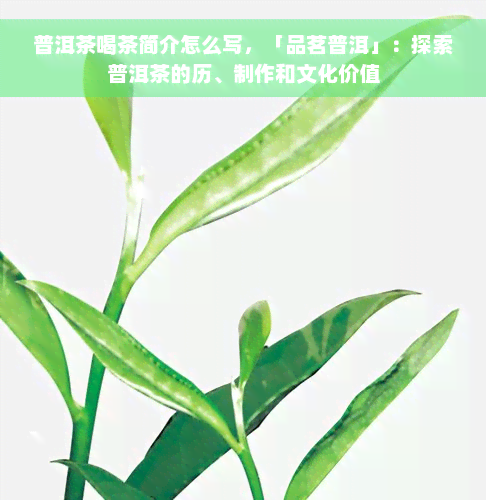 普洱茶喝茶简介怎么写，「品茗普洱」：探索普洱茶的历、制作和文化价值