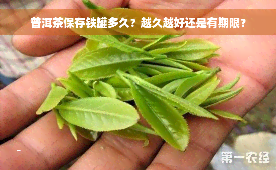 普洱茶保存铁罐多久？越久越好还是有期限？