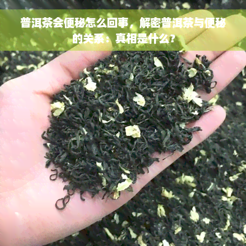 普洱茶会便秘怎么回事，解密普洱茶与便秘的关系：真相是什么？