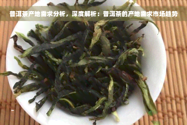 普洱茶产地需求分析，深度解析：普洱茶的产地需求市场趋势