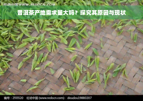 普洱茶产地需求量大吗？探究其原因与现状