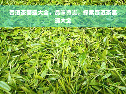 普洱茶高端大全，品味尊贵，探索普洱茶高端大全