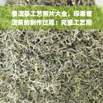 普洱茶工艺照片大全，探索普洱茶的制作过程：完整工艺照片大全