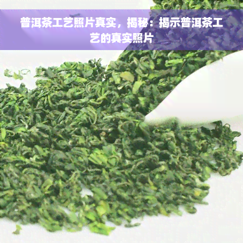 普洱茶工艺照片真实，揭秘：揭示普洱茶工艺的真实照片