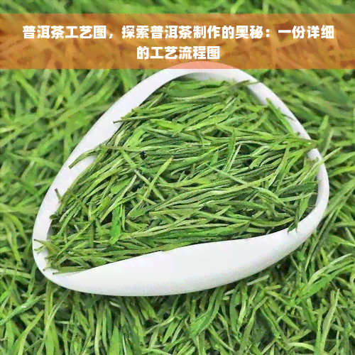 普洱茶工艺图，探索普洱茶制作的奥秘：一份详细的工艺流程图