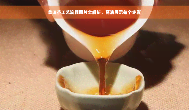 普洱茶工艺流程图片全解析，高清展示每个步骤