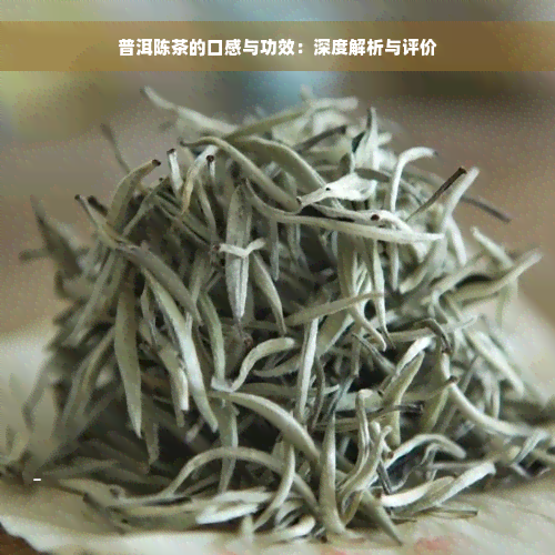 普洱陈茶的口感与功效：深度解析与评价