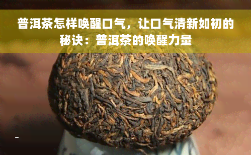 普洱茶怎样唤醒口气，让口气清新如初的秘诀：普洱茶的唤醒力量