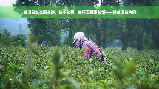 普洱茶怎么醒茶饼，新手必看：如何正确醒茶饼——以普洱茶为例