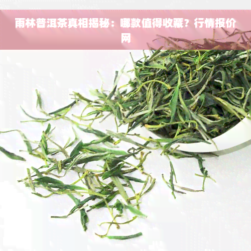 雨林普洱茶真相揭秘：哪款值得收藏？行情报价网