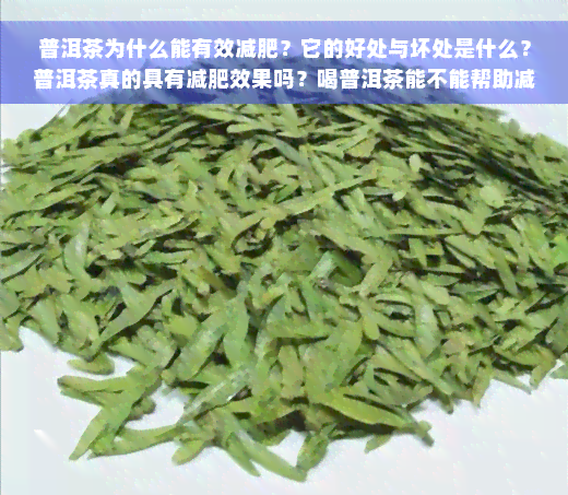 普洱茶为什么能有效减肥？它的好处与坏处是什么？普洱茶真的具有减肥效果吗？喝普洱茶能不能帮助减肥？哪些茶叶最适合减肥？