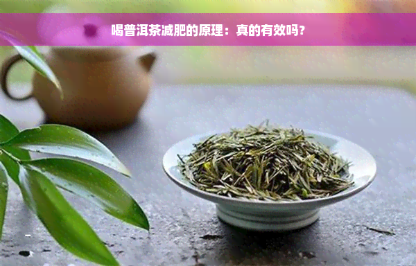 喝普洱茶减肥的原理：真的有效吗？