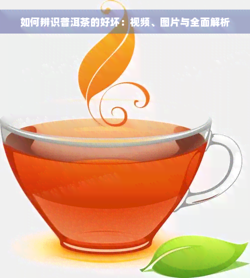 如何辨识普洱茶的好坏：视频、图片与全面解析