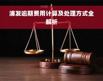 浦发逾期费用计算及处理方式全解析