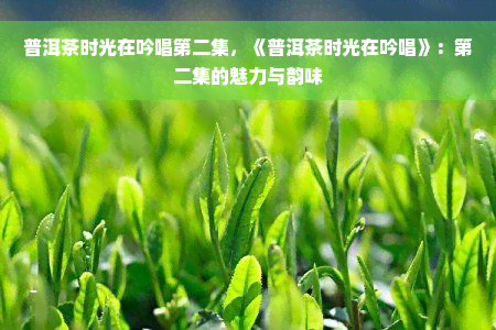 普洱茶时光在吟唱第二集，《普洱茶时光在吟唱》：第二集的魅力与韵味