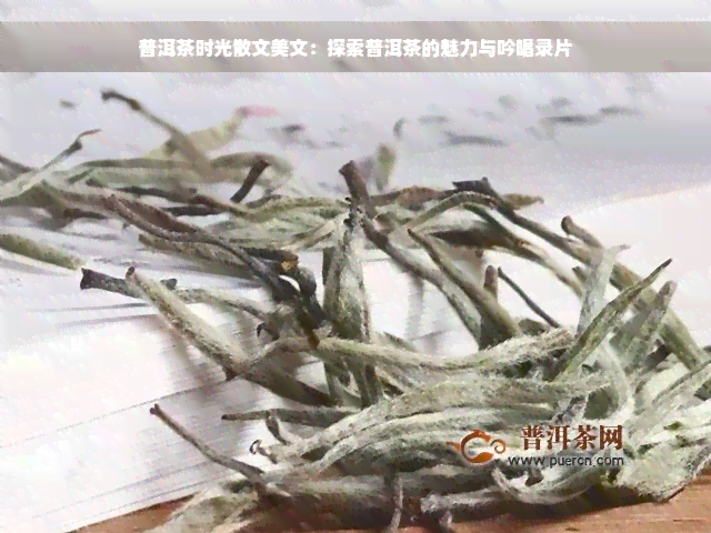 普洱茶时光散文美文：探索普洱茶的魅力与吟唱录片