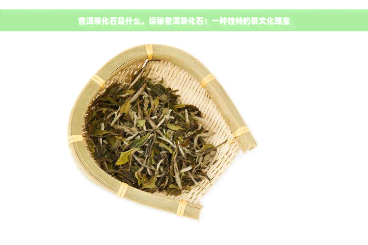 普洱茶化石是什么，探秘普洱茶化石：一种独特的茶文化瑰宝