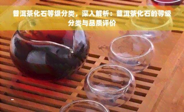 普洱茶化石等级分类，深入解析：普洱茶化石的等级分类与品质评价